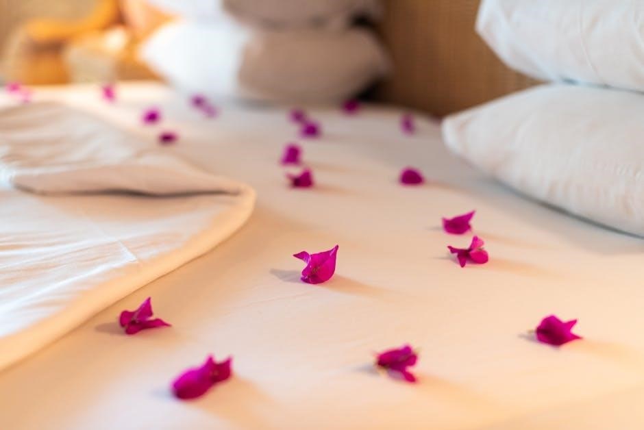 2008 accord coupe v6 manual