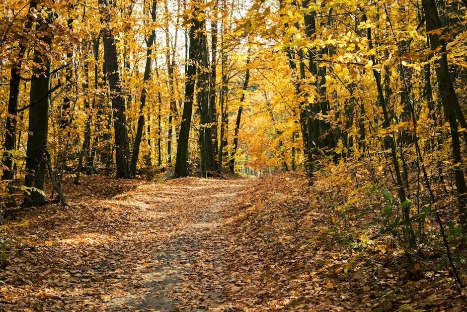 farmington hills activity guide